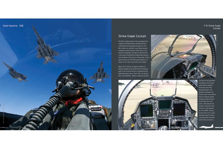 AMMO MIG DH026 Aircraft in Detail - Boeing F-15E Strike Eagle - Dh026 05 - MIGDH026