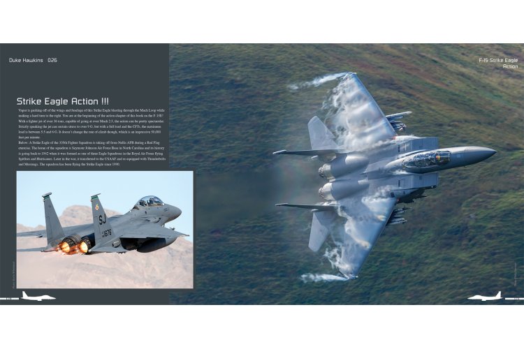 AMMO MIG DH026 Aircraft in Detail - Boeing F-15E Strike Eagle - Dh026 11 - MIGDH026