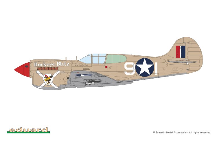 1:48 Eduard 82243 Curtiss P-40K Warhawk Short Tail - ProfiPACK Edition - American Fighter Aircraft - Edu82243 4 - EDU82243