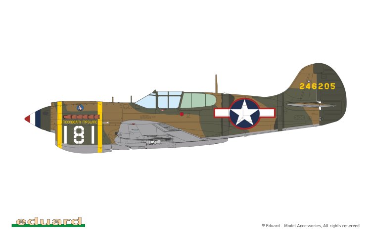 1:48 Eduard 82243 Curtiss P-40K Warhawk Short Tail - ProfiPACK Edition - American Fighter Aircraft - Edu82243 7 - EDU82243