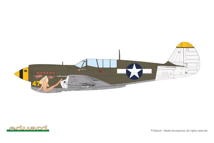 1:48 Eduard 84210 Curtiss P-40N Warhawk - Weekend Edition - Amerikaans Propellervliegtuig - Edu84210 12 - EDU84210