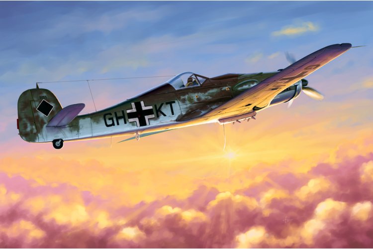 1:48 HobbyBoss 81717 Focke-Wulf Fw 190D-10 - Duitse Propellervliegtuig - Hbs81717 1 - HBS81717