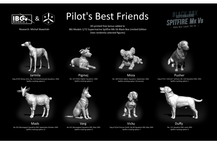 1:72 IBG Models 72591 Supermarine Spitfire Mk Vb - North West Europe 1941-44 - 2 Britse Propellervliegtuigen - Ibg72591 4 - IBG72591