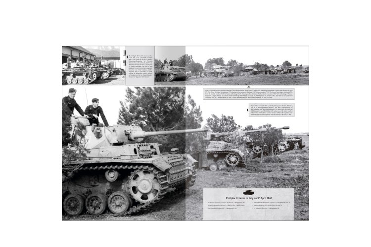 AMMO MIG 6305 Italienfeldzug - Duitse Tanks en Voertuigen 1943-1945 Vol.5 - Engels - Mig6305 xs 3 - MIG6305-XS
