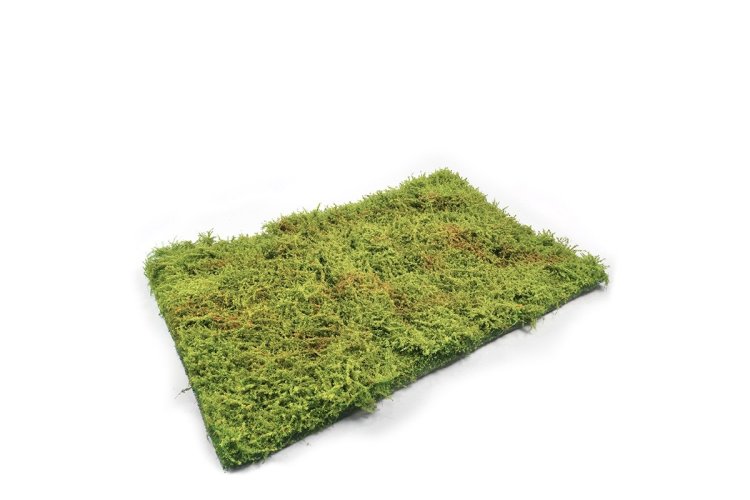 AMMO MIG 8362 Wilderness Fields with Bushes Spring - Mig8362wilderness fields with bushes spring 1 - MIG8362