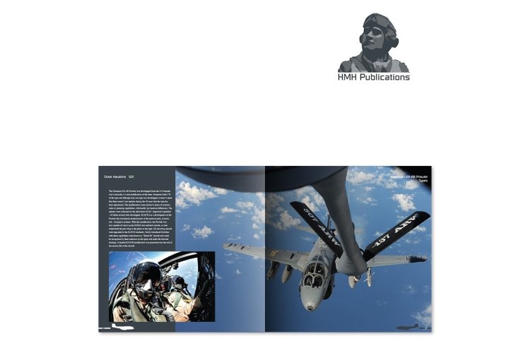 AMMO MIG DH021 Aircraft in Detail Grumman EA-6B Prowler - Migdh021 2 - MIGDH021