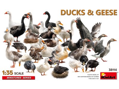 1:35 MiniArt 38114 Ducks and Geese for Diorama &ndash; 33 Birds - Min38114 1 - MIN38114