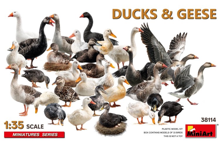 1:35 MiniArt 38114 Ducks and Geese for Diorama &ndash; 33 Birds - Min38114 1 - MIN38114