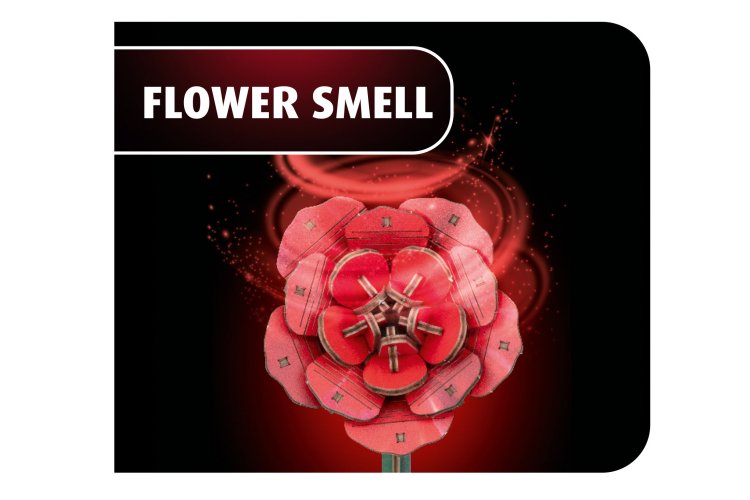 Revell 00631 Flowers - Droom van Rozen - Houten Bloemen met Vaas - Rev00631 3 - REV00631