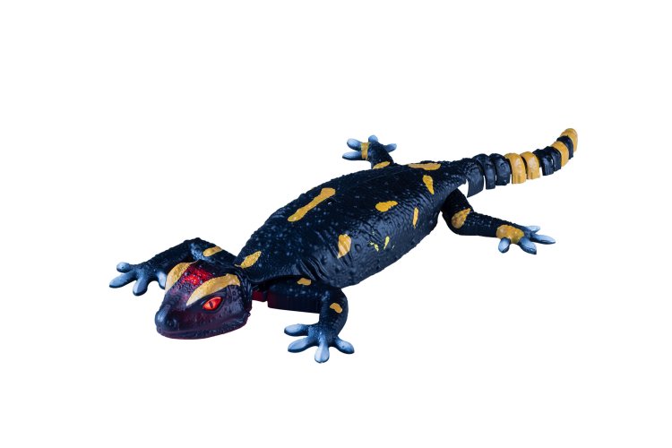 Revell 24705 RC Salamander - Robo Friends - 33cm - Infrarood - Rev24705 2 - REV24705