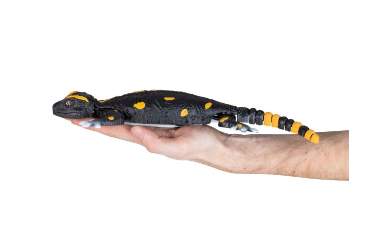 Revell 24705 RC Salamander - Robo Friends - 33cm - Infrarood - Rev24705 5 - REV24705